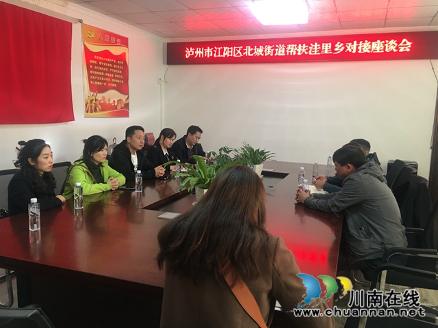 江阳区北城街道赴盐源县洼里乡开展结对帮扶工作(图1)