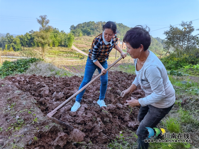 泸县立石镇：家乡守护者，扶贫实干家(图3)