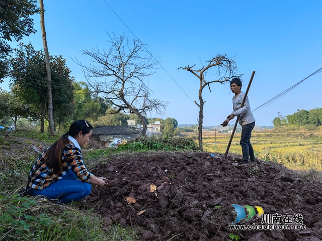 泸县立石镇：家乡守护者，扶贫实干家(图4)