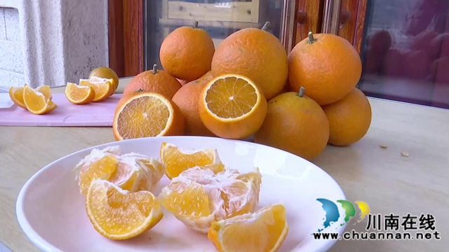 合江“洋橘子”变形记！让百亩荒山丰产万斤滨橙(图7)