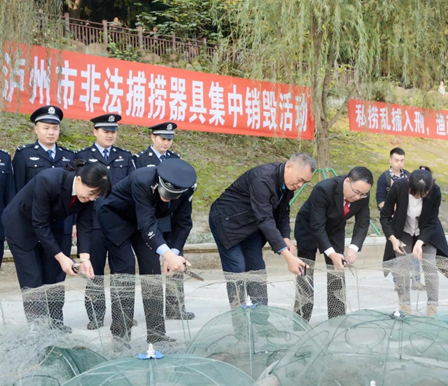 铁腕禁捕！销毁非法捕捞器具、增殖放流、普法宣讲......泸州这个活动看点多多！(图1)