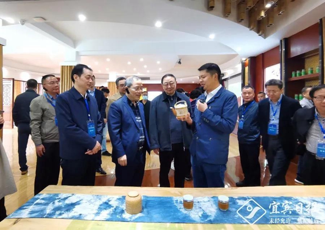 宜宾经验向全国推广！清华、北大等专家学者来宜宾，只为讨论这件事......(图4)