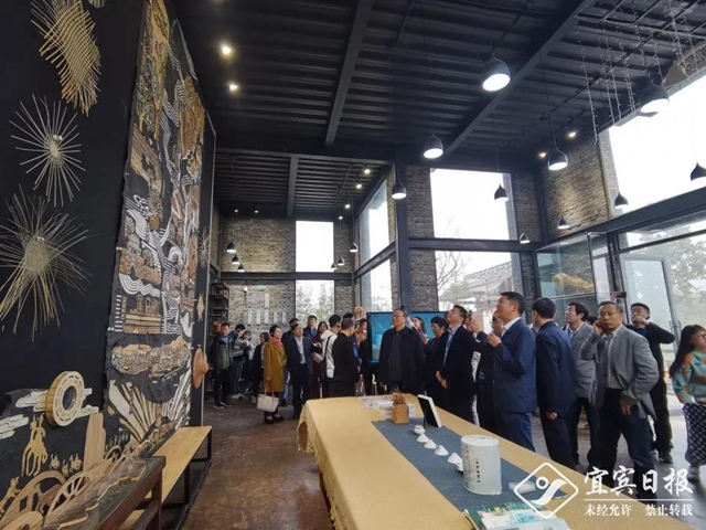 宜宾经验向全国推广！清华、北大等专家学者来宜宾，只为讨论这件事......(图5)