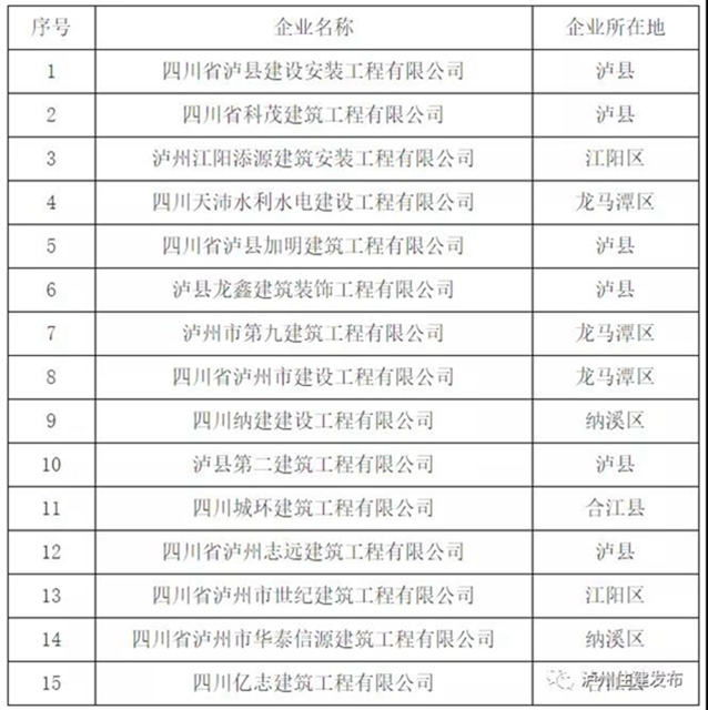 泸州推动建筑业高质量发展 这些企业获评优质企业(图2)