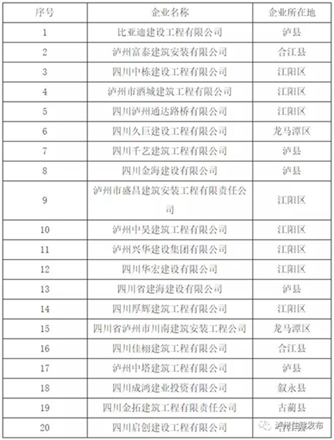 泸州推动建筑业高质量发展 这些企业获评优质企业(图3)