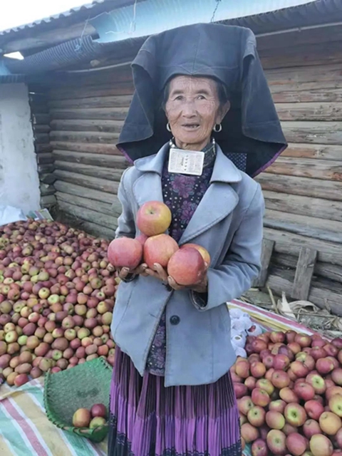 苹果树里结出彝族老乡对美好生活的新期待！(图15)