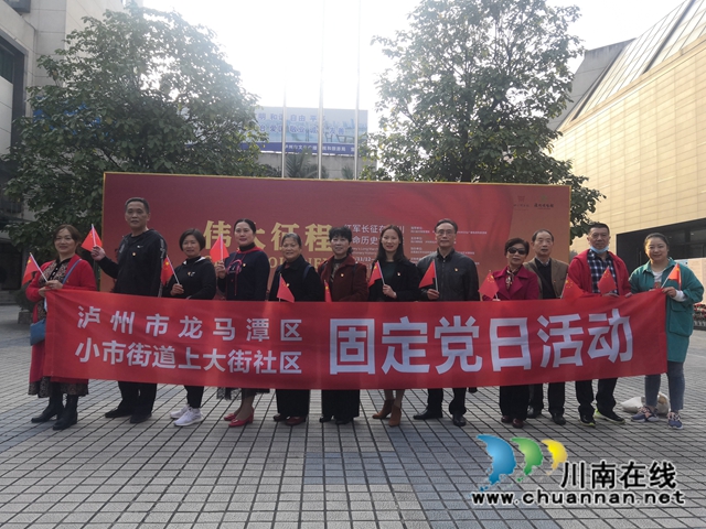 龙马潭区小市街道上大街社区组织党员干部学习泸州历史文化(图4)