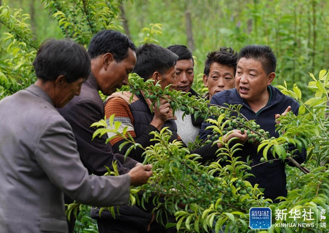 大凉山摆脱“贫困枷锁”(图2)