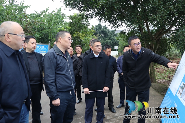 曹阳到泸县云龙镇督导河长制工作(图2)