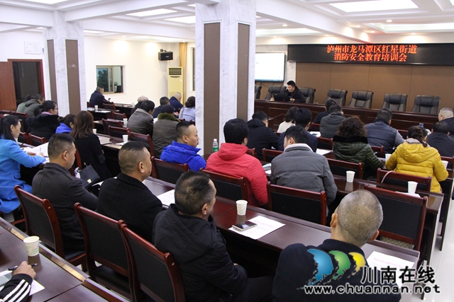 龙马潭区红星街道组织开展消防安全教育培训(图1)