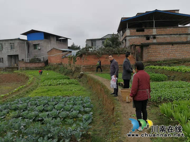 泸县农业农村局到百和镇开展农作物抽检工作(图1)