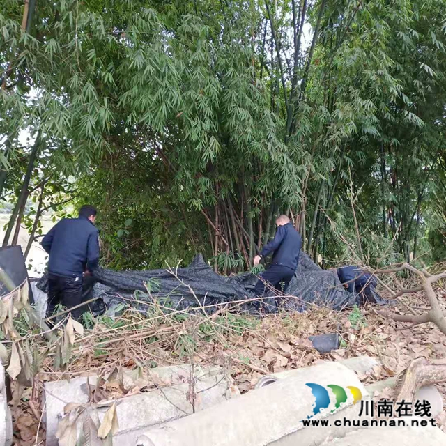 江阳区华阳街道：清理生活垃圾，美化生态环境(图1)