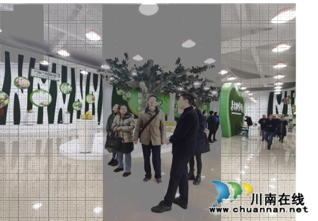 省社科院到合江调研农民工服务保障工作(图1)