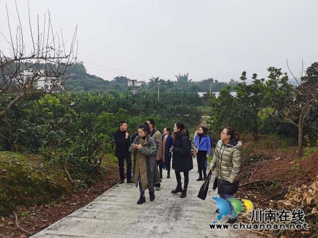 省社科院到合江调研农民工服务保障工作(图2)