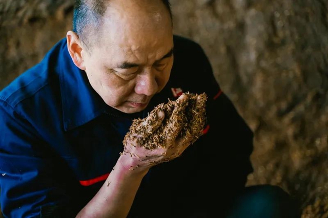 佳记·匠人匠心 | 酿酒大师陈靖余的一天(图4)