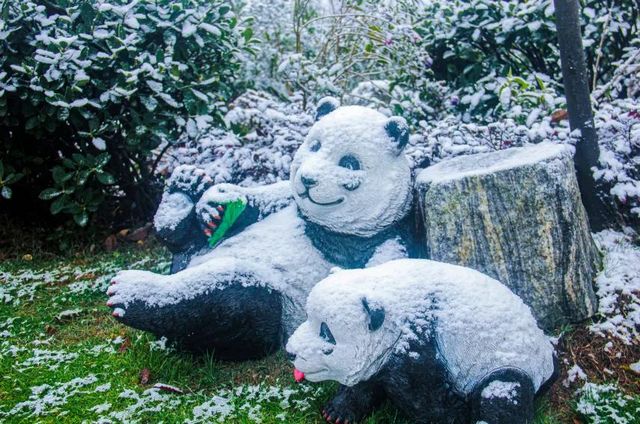 2020叙永、古蔺初雪美景图(图5) 2020叙永、古蔺初雪美景图(图5)