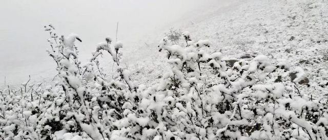 2020叙永、古蔺初雪美景图(图9) 2020叙永、古蔺初雪美景图(图9)