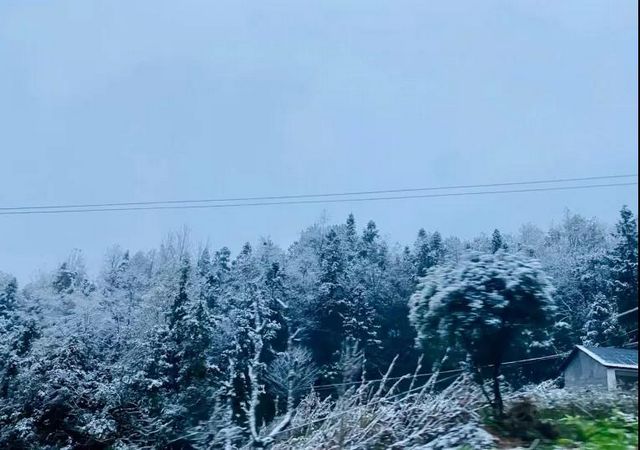 2020叙永、古蔺初雪美景图(图8) 2020叙永、古蔺初雪美景图(图8)