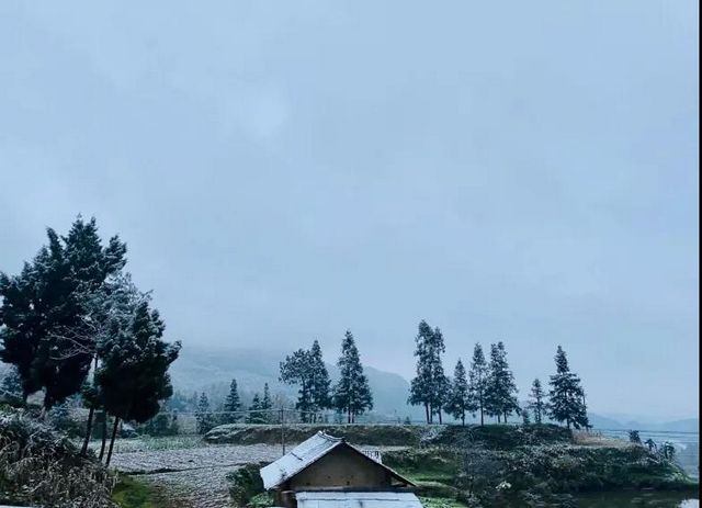 2020叙永、古蔺初雪美景图(图10) 2020叙永、古蔺初雪美景图(图10)