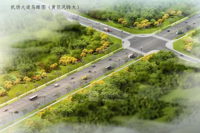 泸州长江滨江路景观已恢复原貌，四条景观大道升级完成(图9)