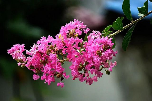 泸州长江滨江路景观已恢复原貌，四条景观大道升级完成(图10)