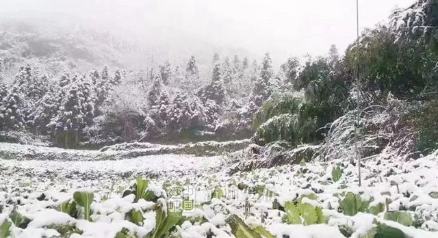 【扩散】12月12日，相约西南医大中医院“火”一把！(图1)