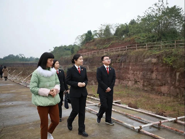 龙马潭法院：先予执行　护航“非遗”民营企业发展(图14)