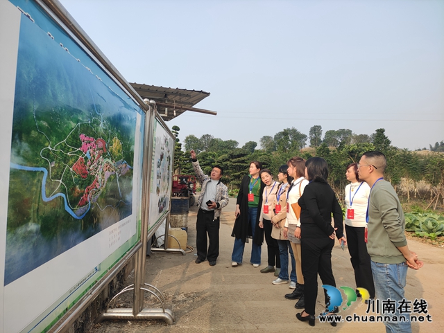 江阳区北城街道开展2020年代表小组视察调研活动(图2) 江阳区北城街道开展2020年代表小组视察调研活动(图2)