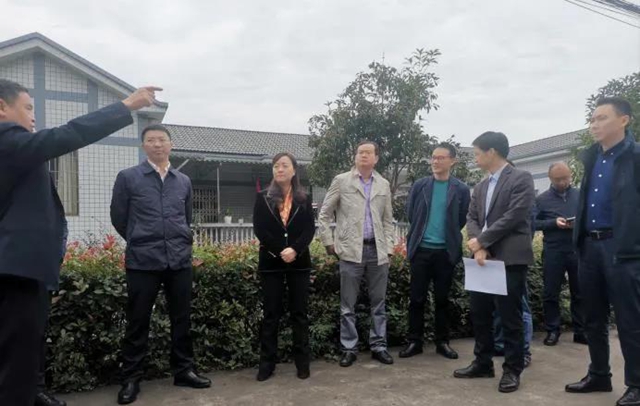 疏堵结合 铁腕整治 泸州市遏制新增乱占耕地建房打出组合拳(图5)