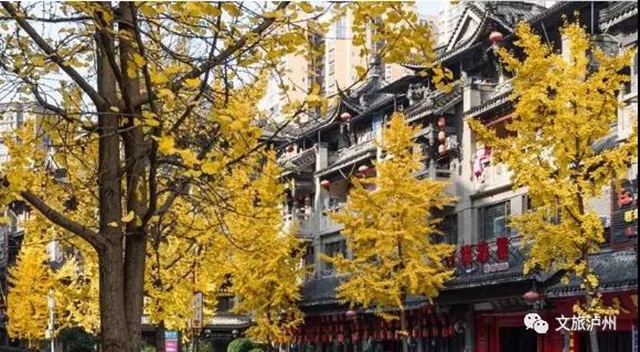 叙永街景最美的地方 原来在这里!(图3) 叙永街景最美的地方 原来在这里!(图3)