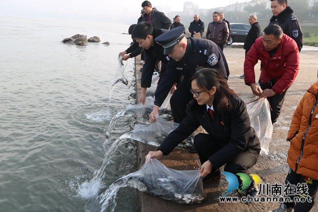 纳溪法院：增殖放流，共同促进长江流域生态资源恢复(图1)