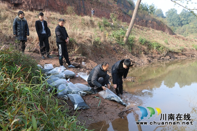 纳溪法院：增殖放流，共同促进长江流域生态资源恢复(图3)