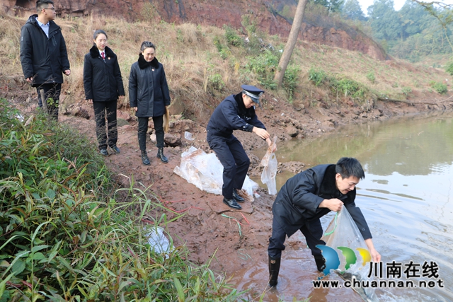 纳溪法院：增殖放流，共同促进长江流域生态资源恢复(图2)