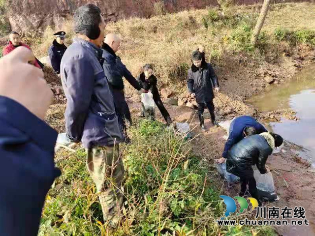 纳溪法院：增殖放流，共同促进长江流域生态资源恢复(图5)