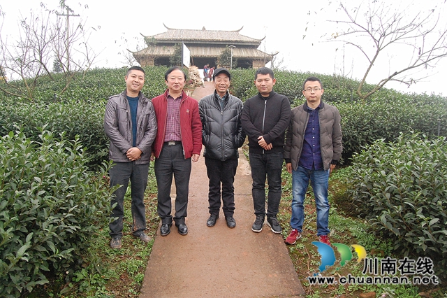 中国茶叶高级专家王云到泸州拂羽茶叶公司调研(图5)