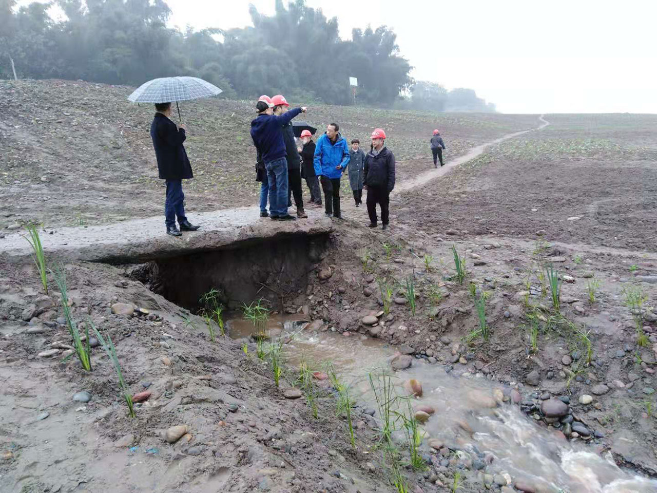纳溪区长江经济带废弃露天矿山生态修复工程通过初步验收(图1) 纳溪区长江经济带废弃露天矿山生态修复工程通过初步验收(图1)
