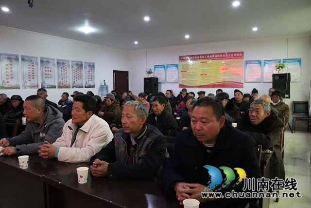 陈刚到泸县云龙镇督导当前重点工作(图3)