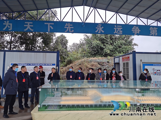 龙马潭区罗汉街道组织2020年“两代表一委员”视察活动(图1)