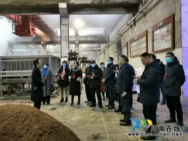 龙马潭区罗汉街道组织2020年“两代表一委员”视察活动(图2)