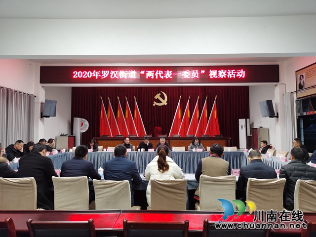 龙马潭区罗汉街道组织2020年“两代表一委员”视察活动(图3)