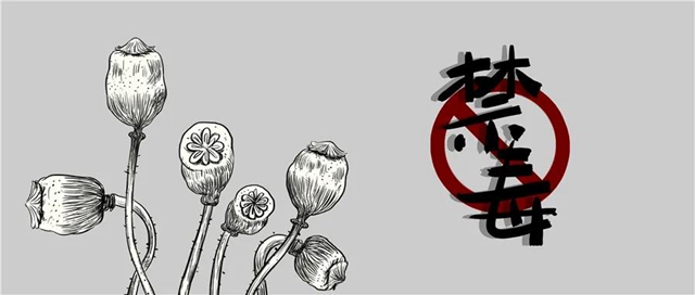 震慑！内江市中院公布五起涉毒大案(图5)