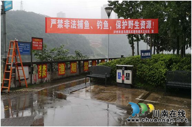 龙马潭区红星街道“多措并举”强化禁渔宣传工作(图3) 龙马潭区红星街道“多措并举”强化禁渔宣传工作(图3)