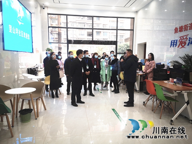 龙马潭区莲花池街道开展“两代表一委员”视察工作(图1)