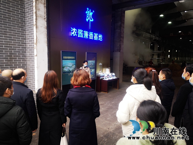 龙马潭区莲花池街道开展“两代表一委员”视察工作(图4)