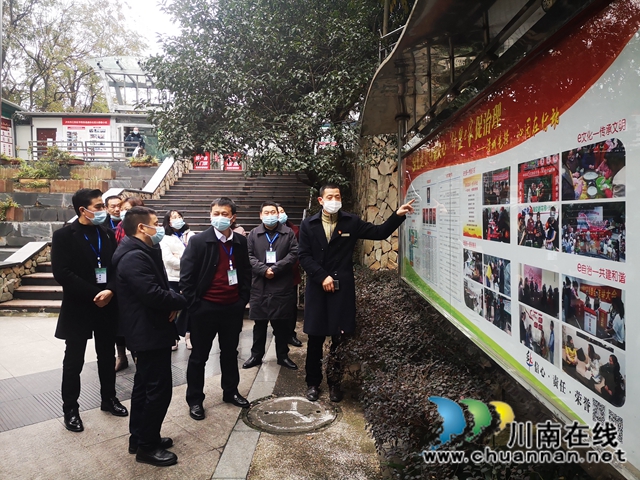 龙马潭区莲花池街道开展“两代表一委员”视察工作(图5)