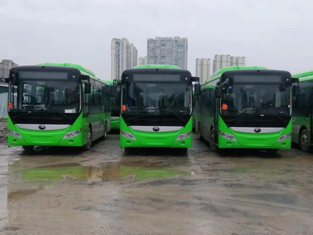 合江重庆间首条跨省公交即将开通，途径这些地方……(图4)