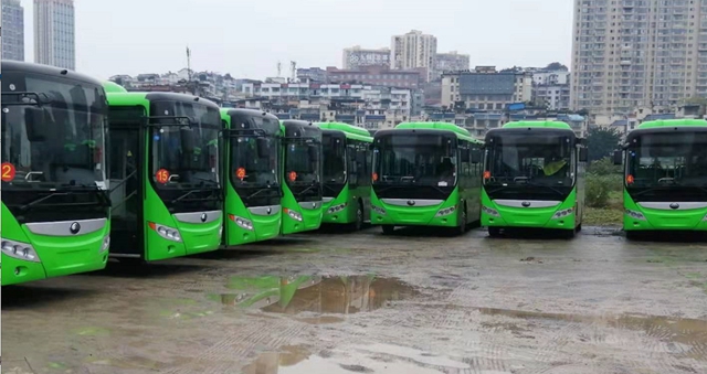 合江重庆间首条跨省公交即将开通，途径这些地方……(图3)