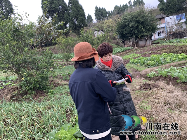 内江经开区靖民镇凉风社区积极开展平安建设宣传(图1)