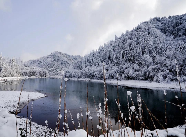 冰雪奇缘！快来古蔺捕捉阳光下的雪封仙境！(图2)