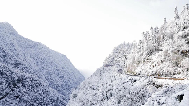 冰雪奇缘！快来古蔺捕捉阳光下的雪封仙境！(图3)